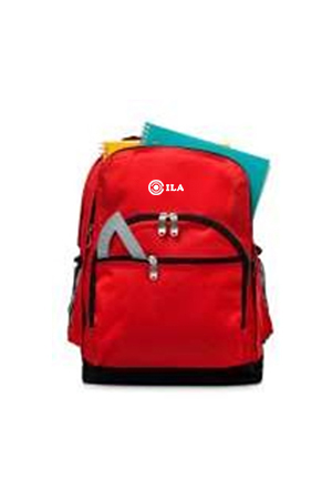 Boy school & college bag